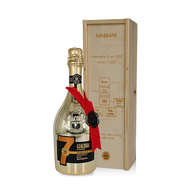 Extra aandacht aan nieuwe doelen via 'mindmapping' - II Extra aandacht aan nieuwe doelen via 'mindmapping' - II