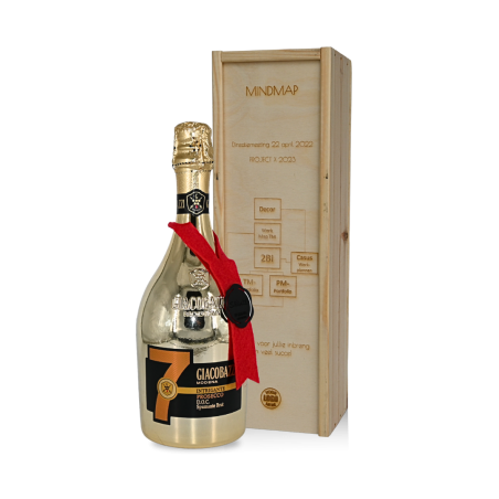 Extra aandacht aan nieuwe doelen via 'mindmapping' - II