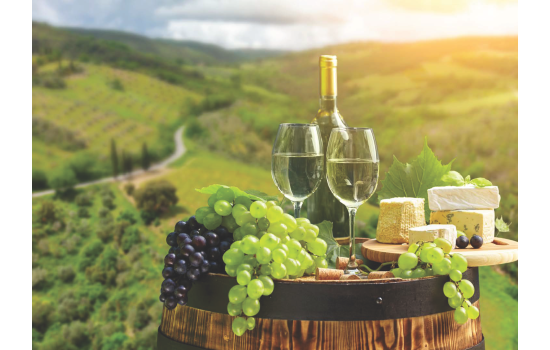 Wijnen Wijnen | Ontdek de zon in je glas | FBT Giuliano